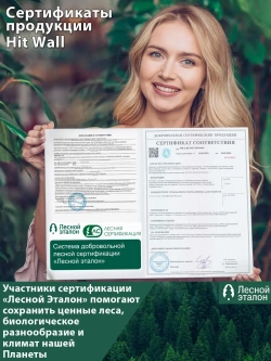 3D Детские фотообои кот и голубое небо