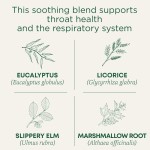 Traditional Medicinals, Organic Throat Coat, эвкалипт, без кофеина, 16 чайных пакетиков в упаковке, 28 г (0,99 унции)