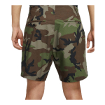 Шорты Nike Sb Flex, CK1103-222