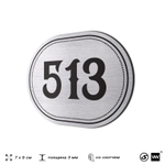 Номерок на дверь квартиры 513, для кабинета, офиса, шильдик 9 х 7 см, серебристый, Айдентика Технолоджи