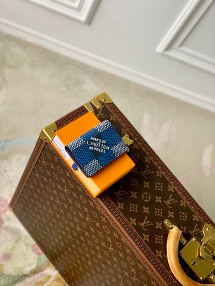 Louis Vuitton Pocket Organizer