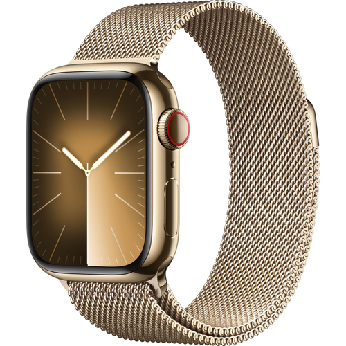 Apple Watch S9 45mm Gold / Stainless Steel Case