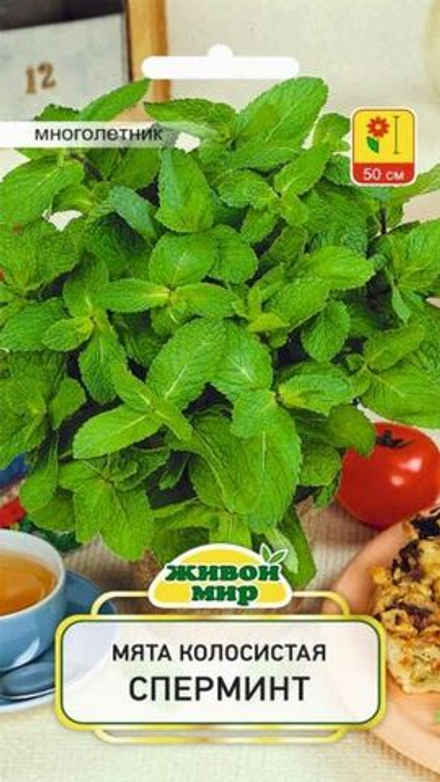 Mятa кoлocиcтaя "ЖМ. Спepминт" 0.1г, Польша.