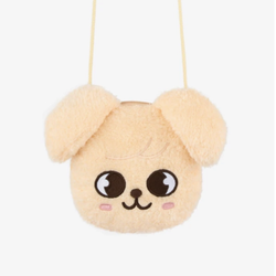Мерч Stray Kids - [RUN IT JAPAN] SHOLDER POUCH (сумка)