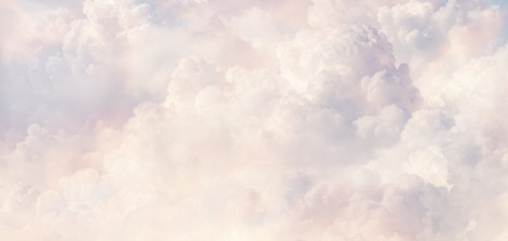 Коллекция EUPHORIA 19