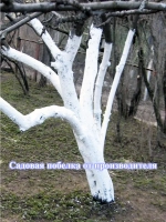 Садовый вар для деревьев известь