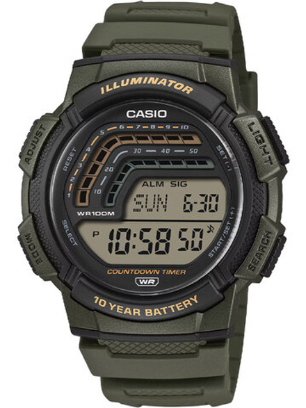 Мужские наручные часы Casio WS-1800-3A