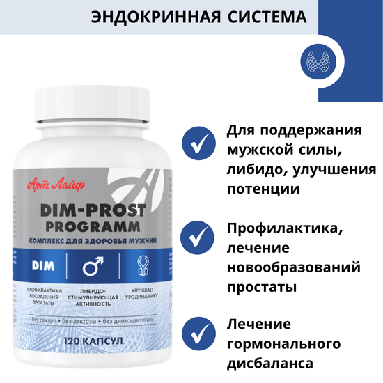 ДИМ-прост программ