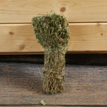 Чабрец, букет_4.jpg