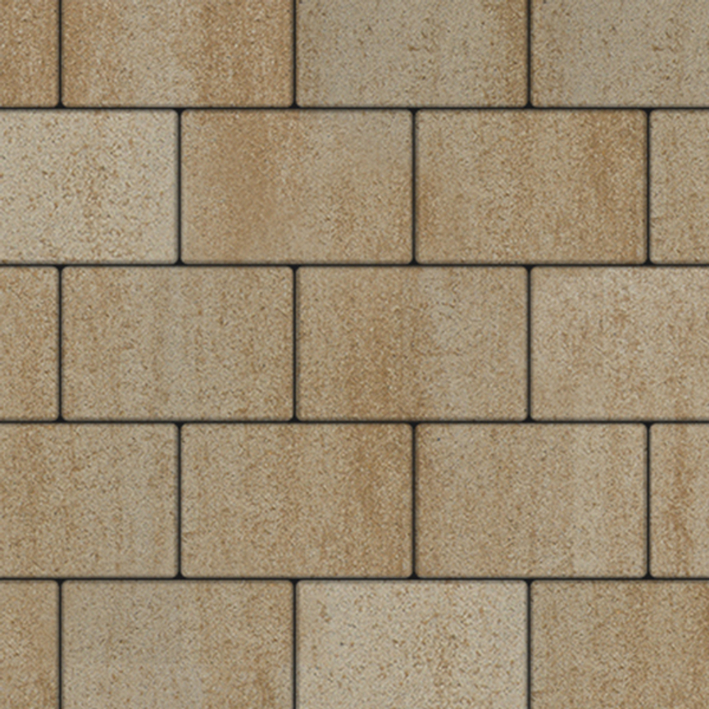 Тротуарная плитка ПРЯМОУГОЛЬНИК 300х200 мм - Искусственный камень Степняк