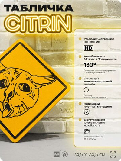 Табличка мем "Кот блюет" шуточная прикольная табличка на дверь и стену, для офиса и дома, декоративный знак, 24,5х24,5 см, пластиковая, Айдентика Технолоджи