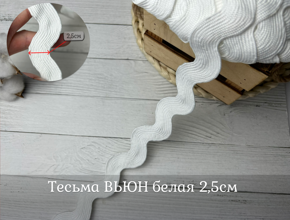 Тесьма ВЬЮН 2,5см белый