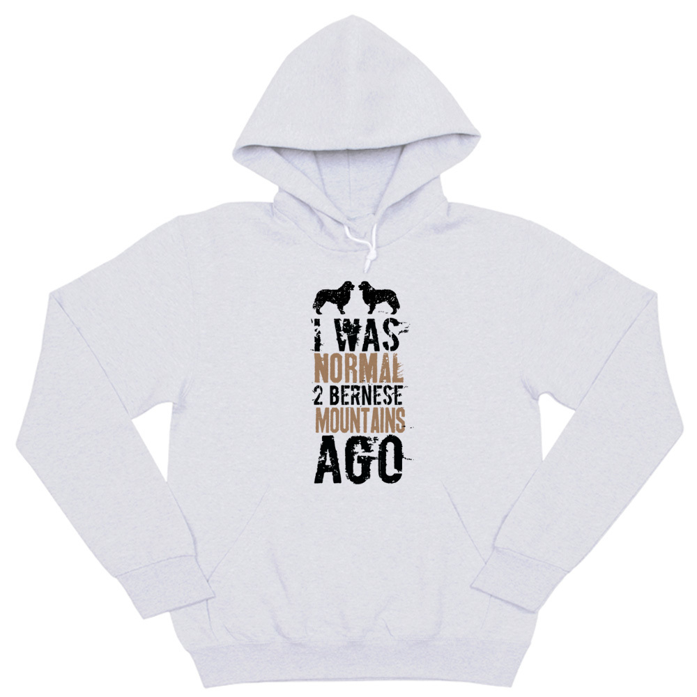 Толстовка "Был нормальным 2 Берна назад"