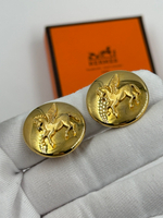 Клипсы Пегас Hermes