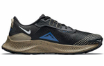 Кроссовки Nike Pegasus Trail 3