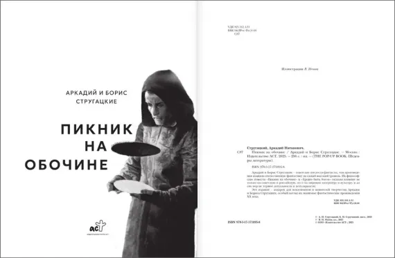 Пикник на обочине