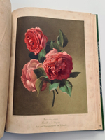 "Nestel`s Rosengarten. [  Сад роз Нестела]". E. Schweizerbartsche Verlagshandlung. 1869г.