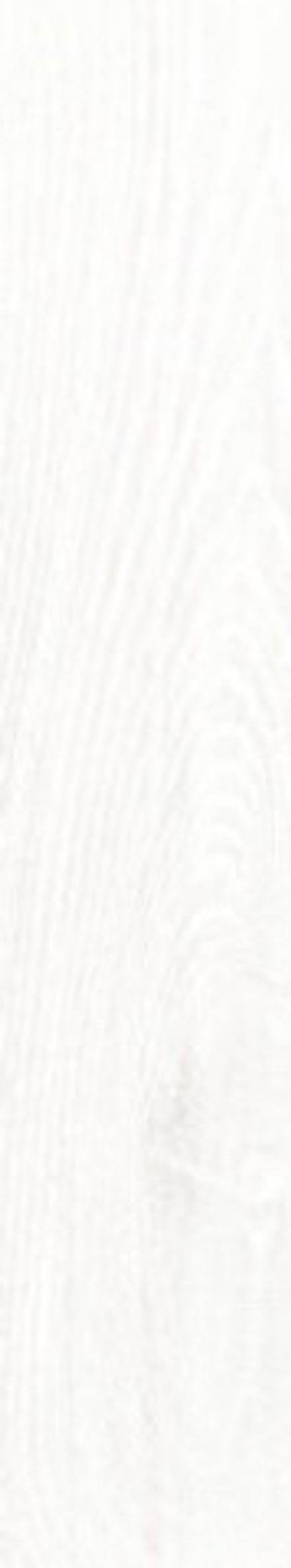 Керамогранит MONOPOLE ORINOCO BLANCO PLACKET (СП1254)