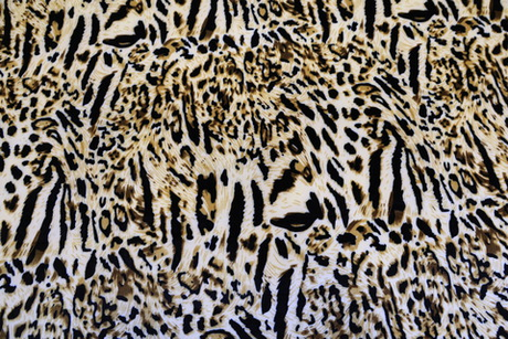 Бархат стрейч леопард