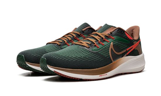 Кроссовки Nike Air Zoom Pegasus 39 "A.I.R. Hola Lou"
