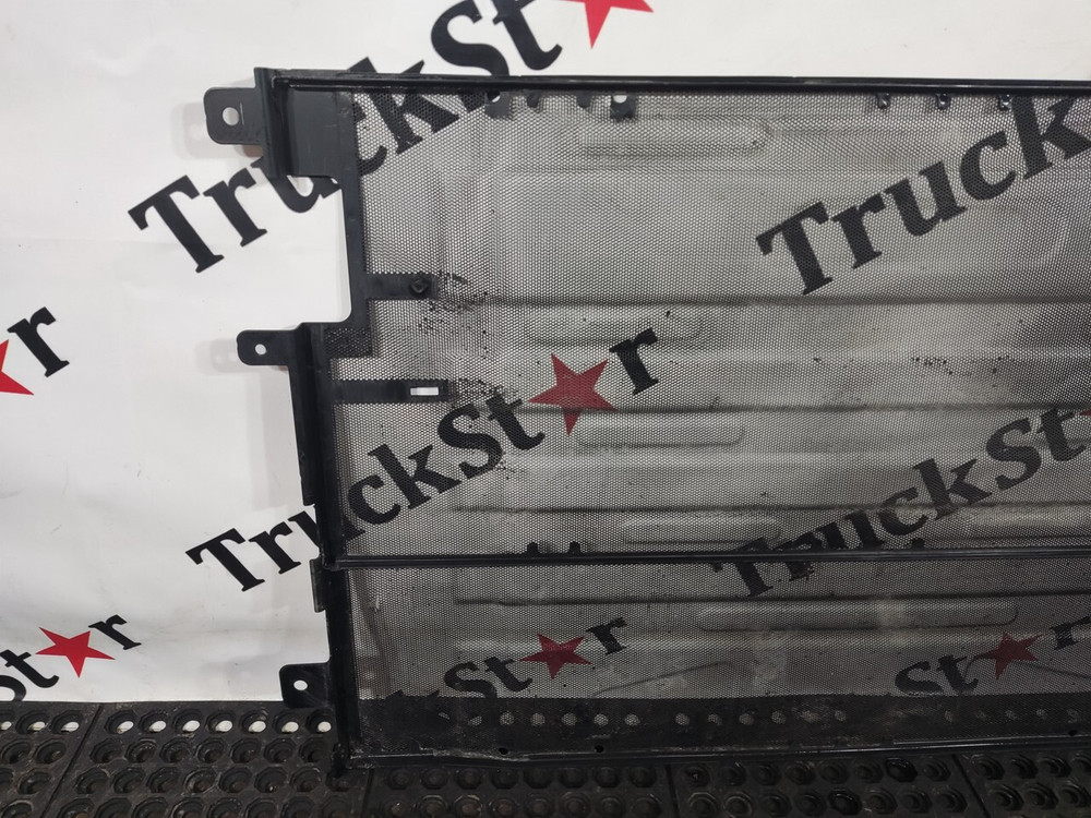 Сетка радиатора москитная 2023г