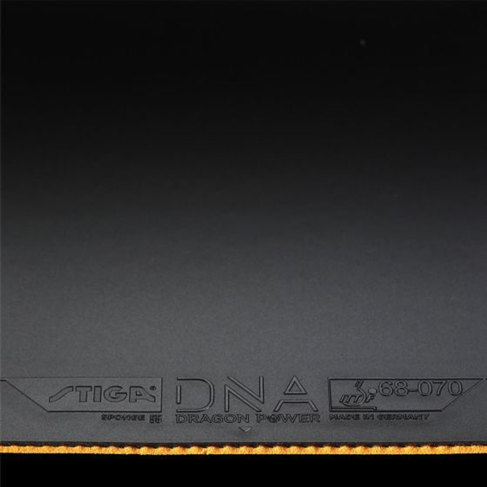 Stiga DNA Dragon Power