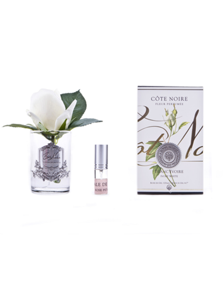 Диффузор Rose Bud Ivory Cote Noire Слоновая кость / Прозрачный