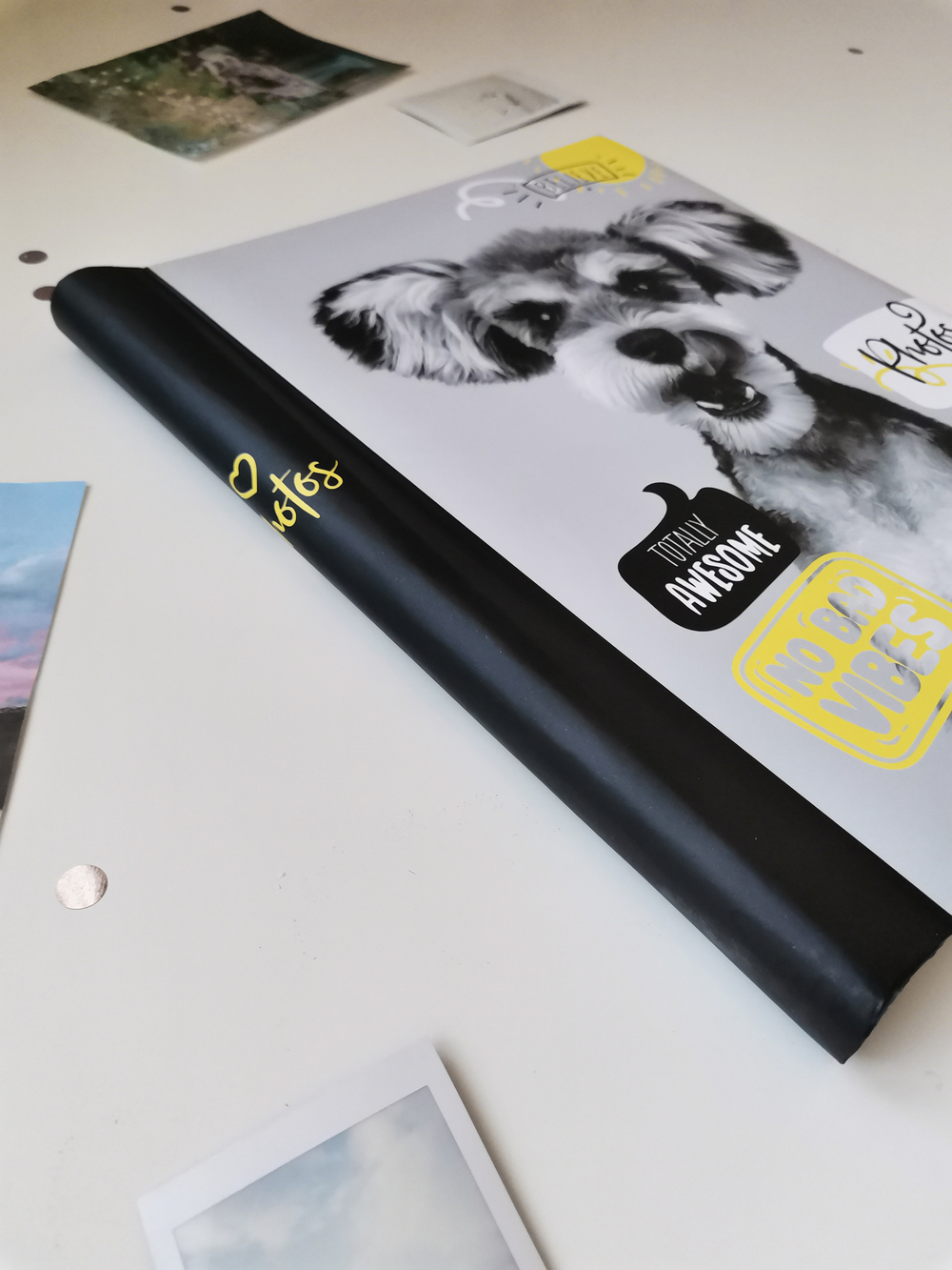 Фотоальбом на 10 магнитных листов 23х28 см, внутр. спираль fluffy pets Гав