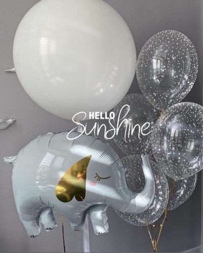 Набор шаров на выписку №59