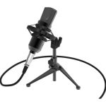 Микрофон Ritmix RDM-160 +USB адаптер