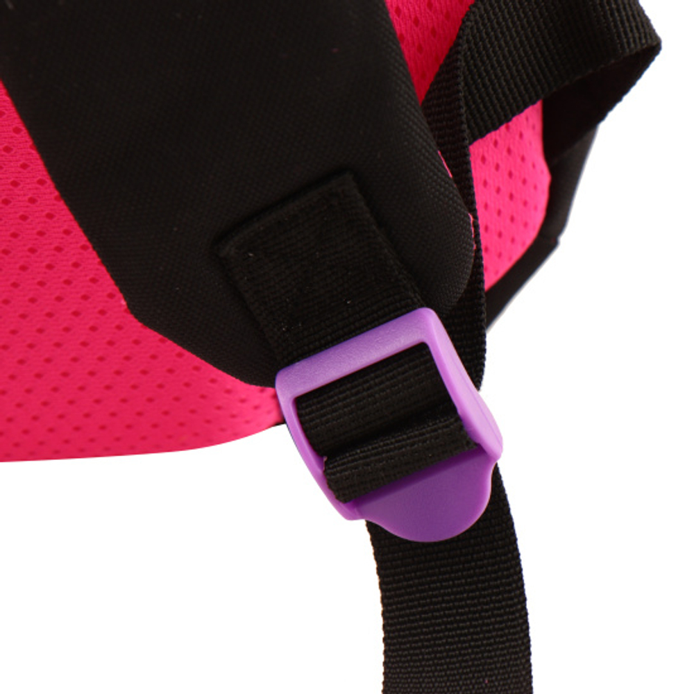 Ранец, спинка эргономичная, 3 отделения, 42*30*20 см, COMFORT Max, Cool girl, КОКОС, 240484