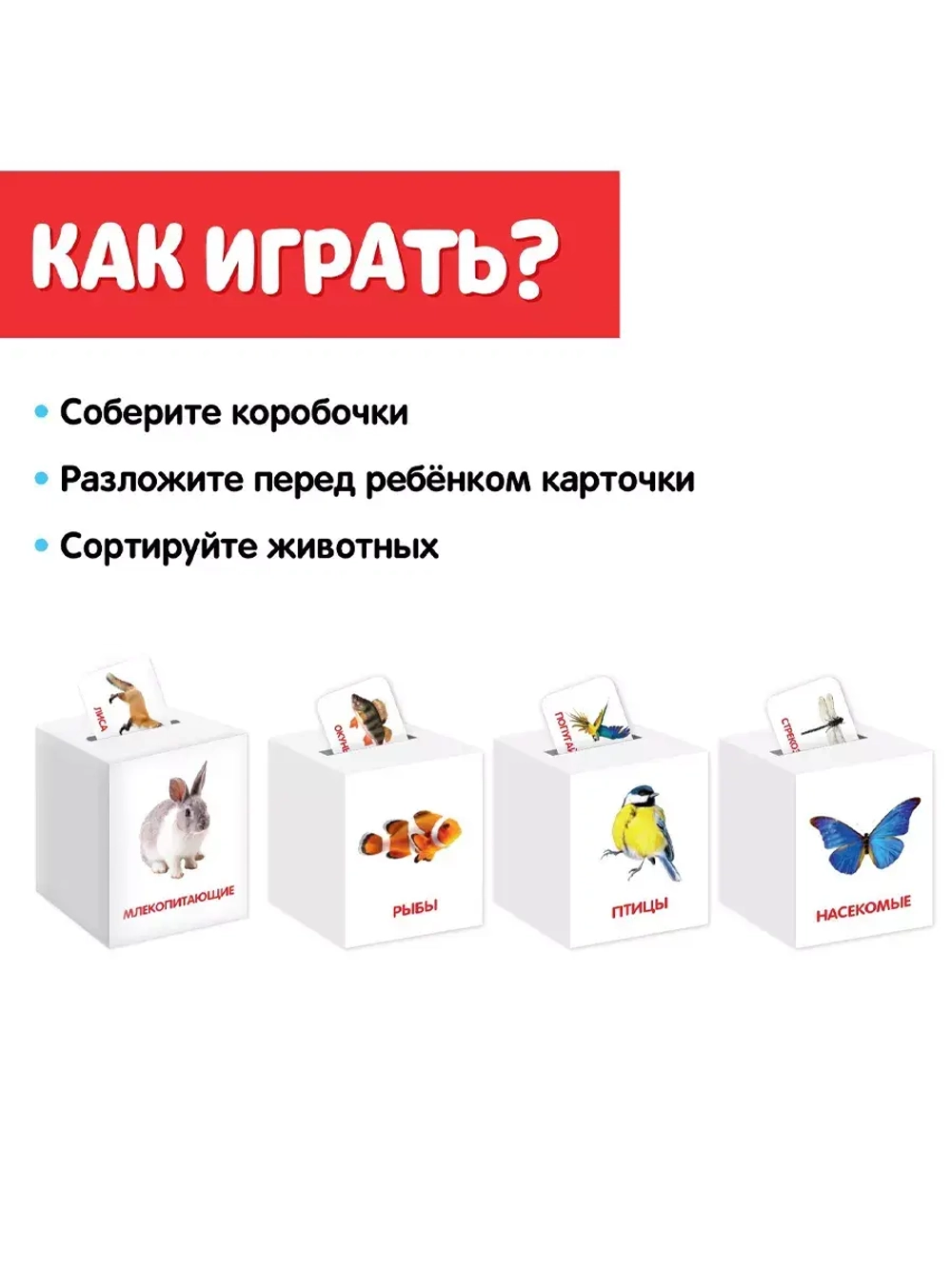 Сортер-копилка Животные по методике Г. Домана