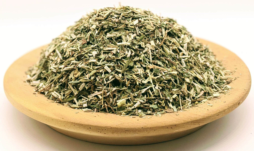 Золотарник (золотая розга)