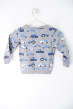 Джемпер Bluezoo с принтом на 2-3 года