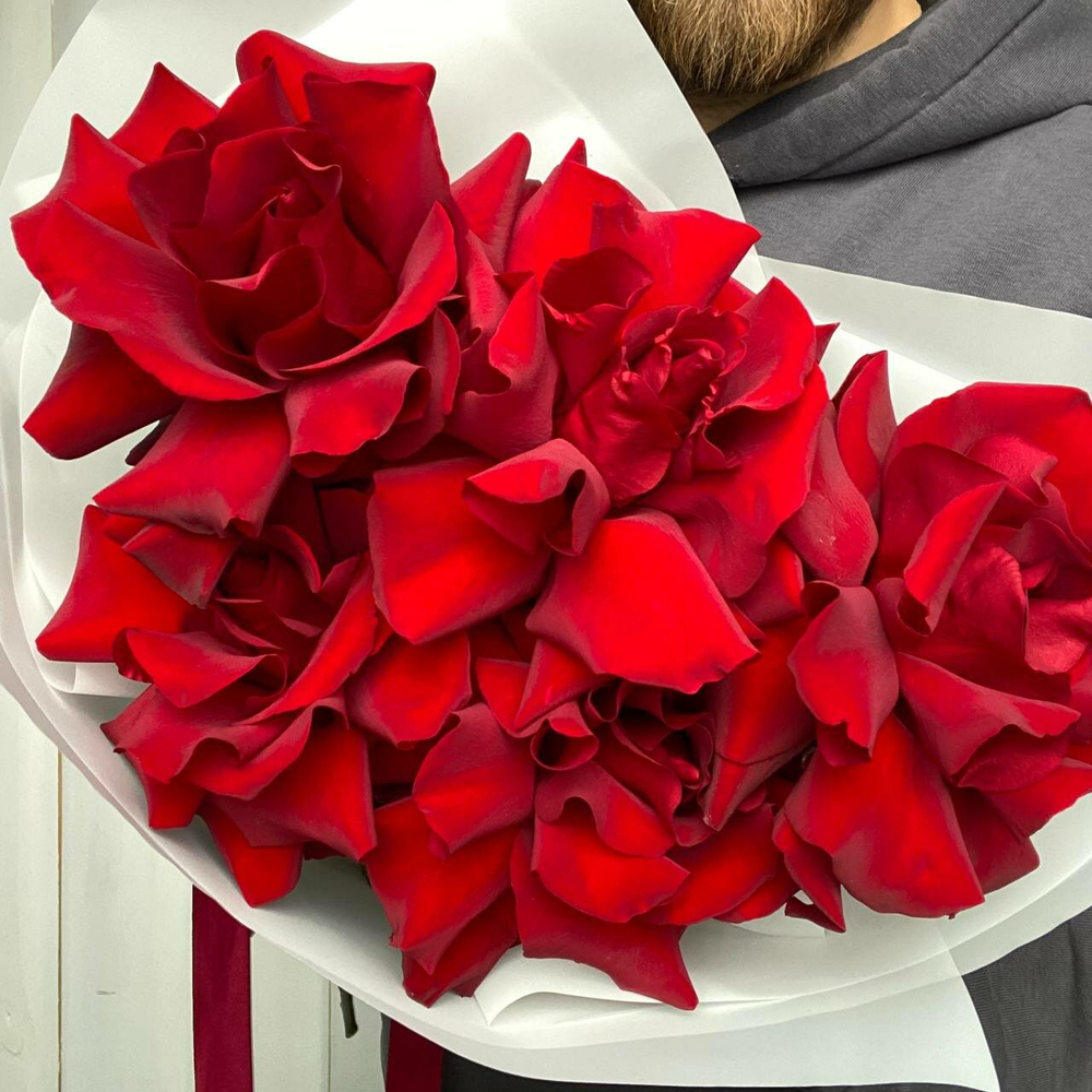 Моно-букет красных французских роз в белой упаковке 5шт.