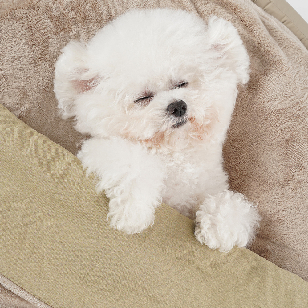 203 Плед двухсторонний "SSOOOK Blanket"