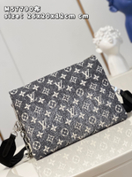 Louis Vuitton Coussin PM