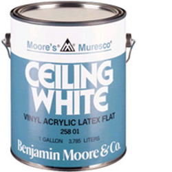 CS258-01. COLORSTYLE / Benjamin Moore SELECT CEILING PAINT ULTRA . Высоко матовая краска для потолка.