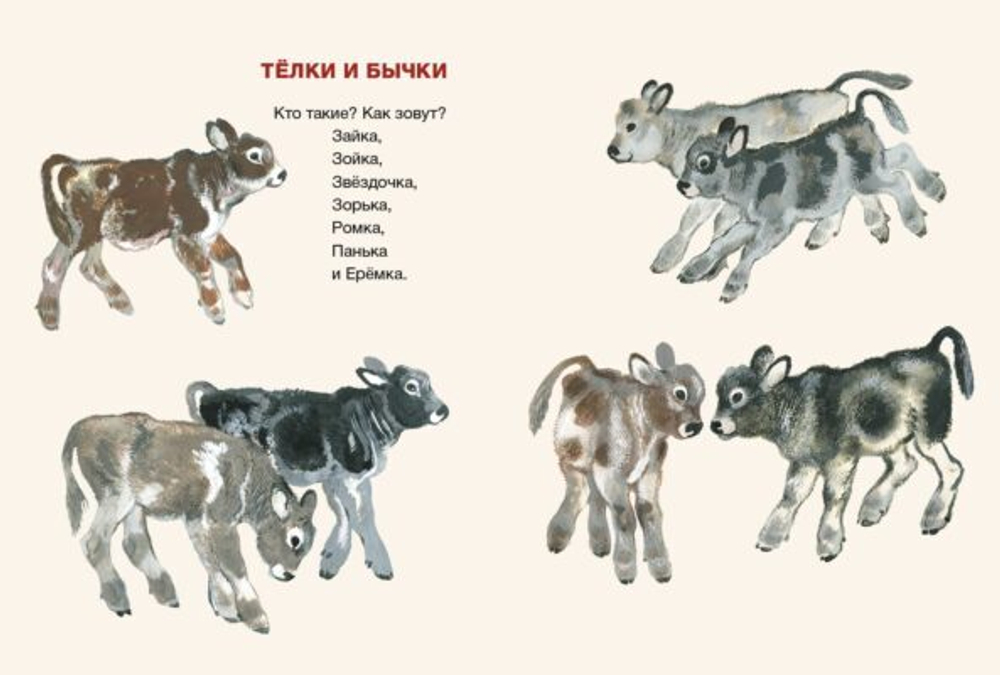 Евгений Чарушин Вот они какие (иллюстрации автора)