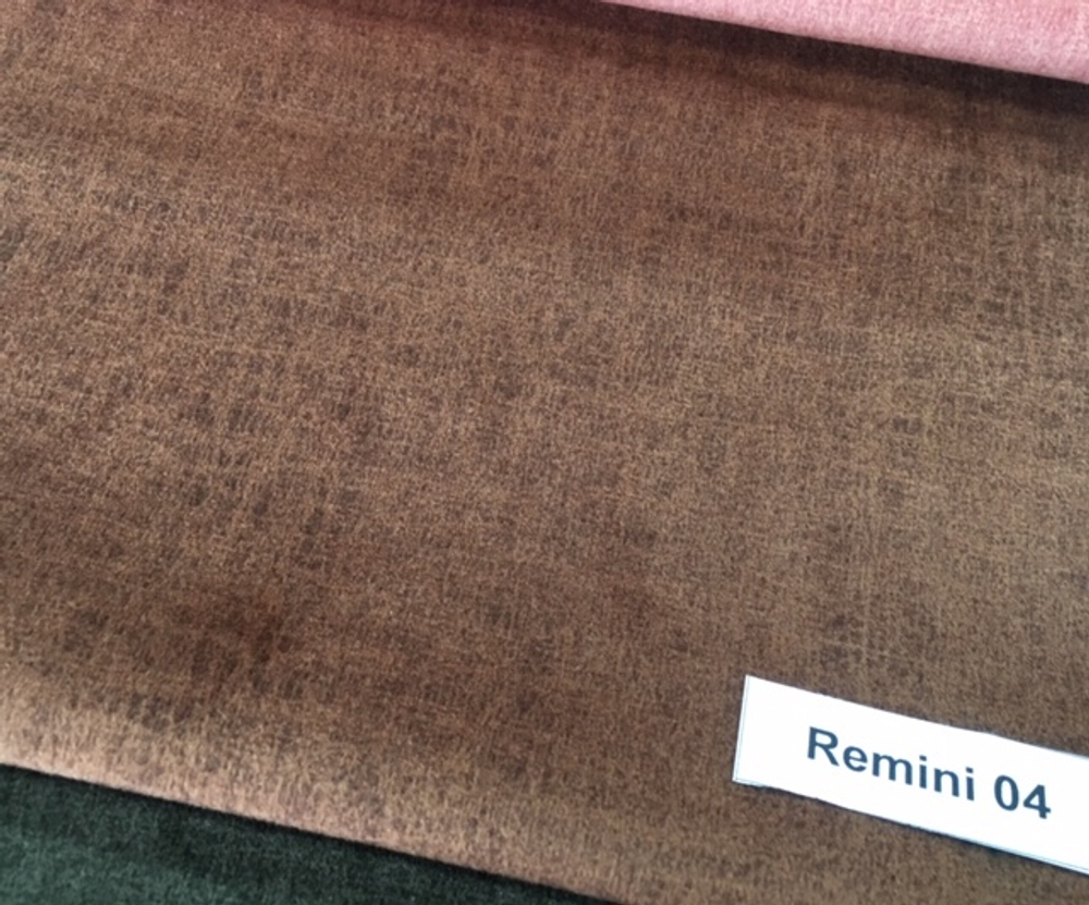 Remini 04