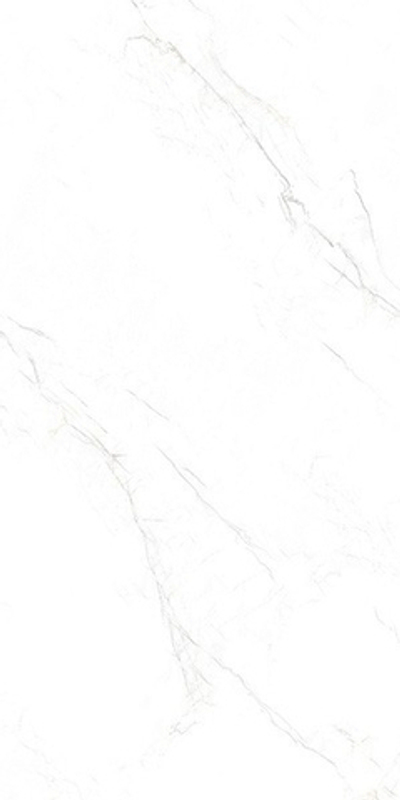 Керамогранит MARBLE  Mystic White MATT (ENMAR1030MT60120)
