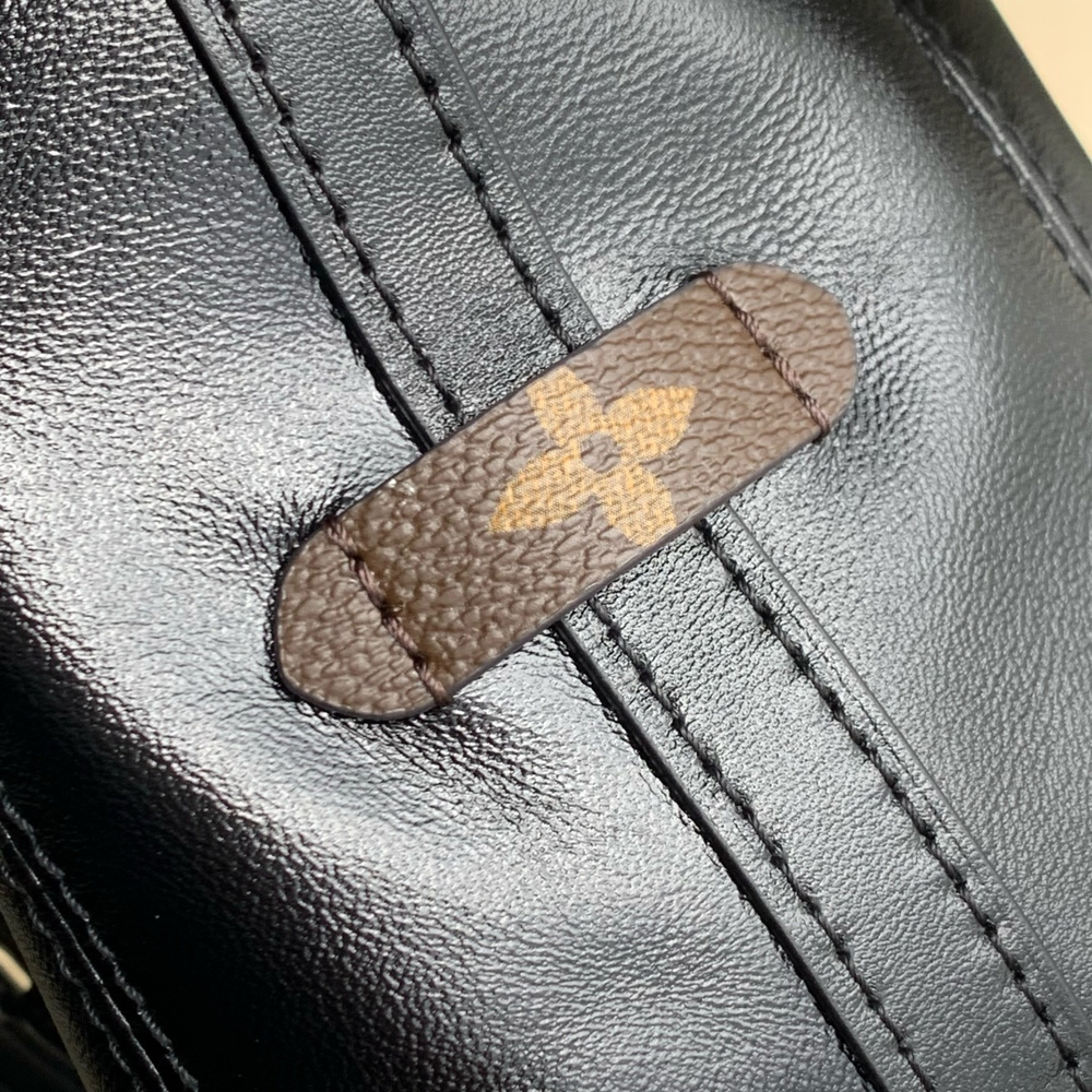Louis Vuitton CarryAll BB