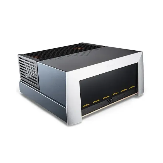 Cayin M-845D