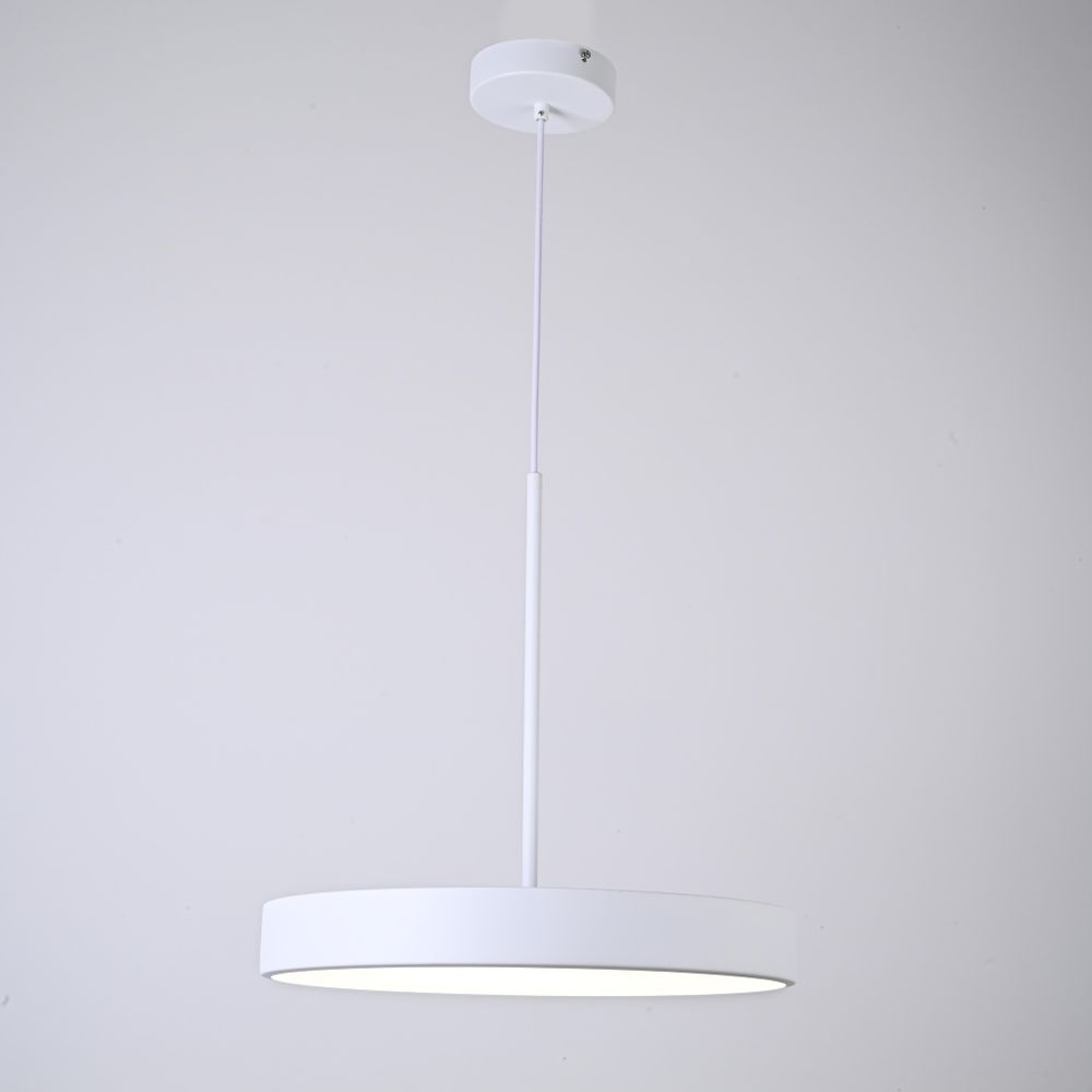 Подвесной светильник TURNA ONE D40 White by ImperiumLoft