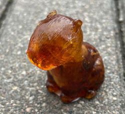 Капибара маленькая