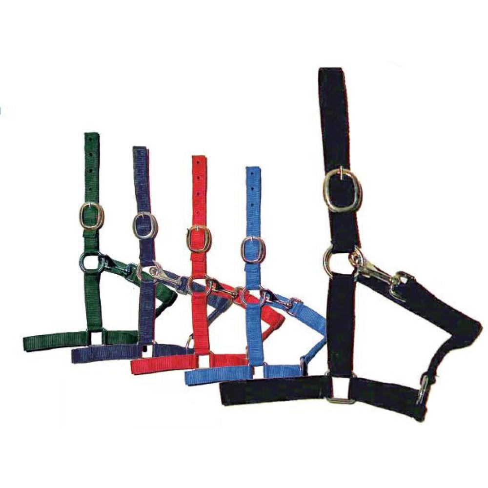 DASLO Недоуздок нейлоновый эконом с карабином, синий, PONY