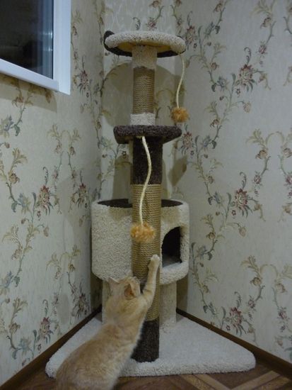 Когтеточка Д-15