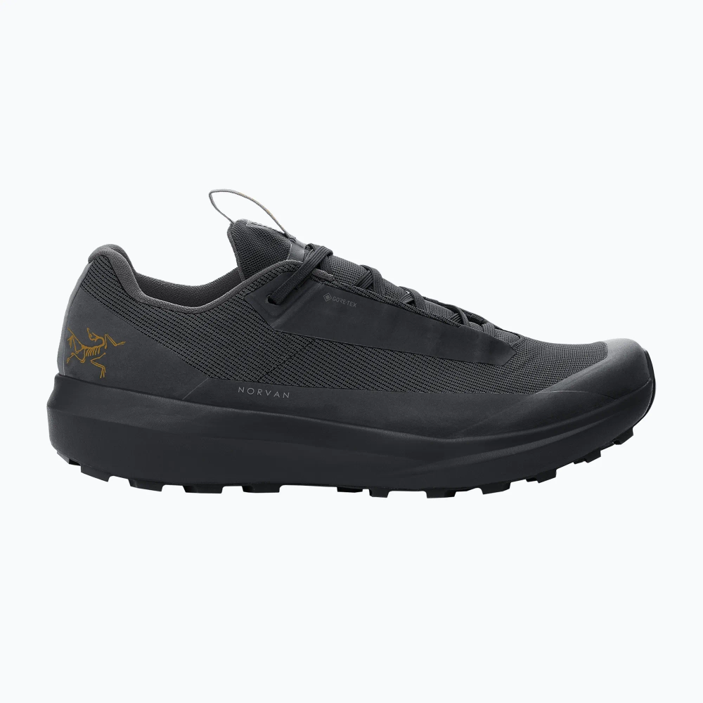 Кроссовки для бега Arcteryx Norvan LD 4 GTX black/black