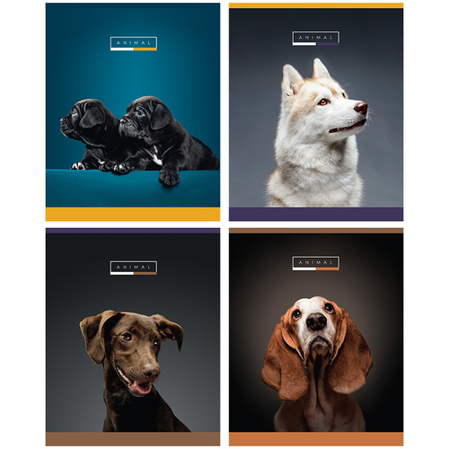 Тетрадь 48л., А5, клетка Greenwich Line "Animal", матовая ламинация, выборочный УФ-лак, 70г/м2