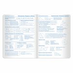 Дневник 1-11 класс 48 л., обложка кожзам (твердая), тиснение, аппликация, BRAUBERG, "ФЛАМИНГО", 105485